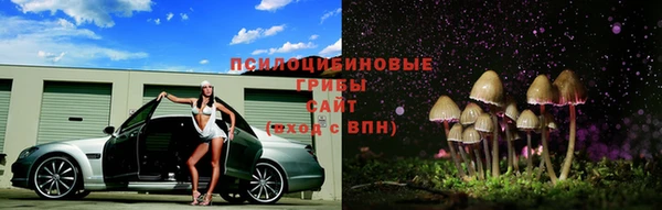 таблы Алексеевка