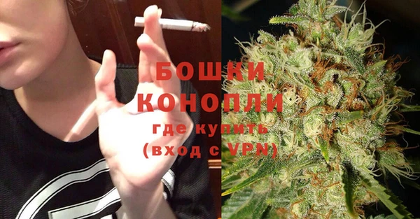 ешки Пересвет