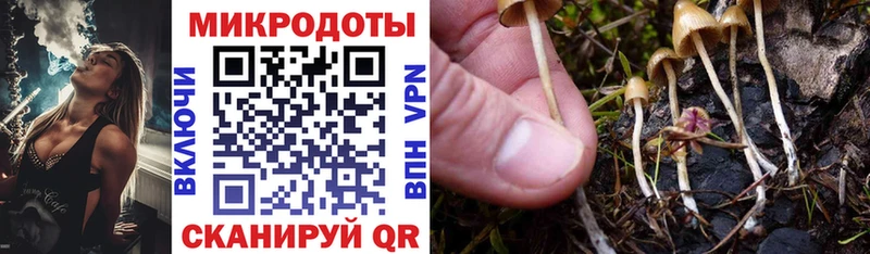 hydra ссылки  Байкальск  Псилоцибиновые грибы мухоморы 